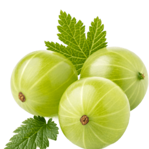 Ingredient Name